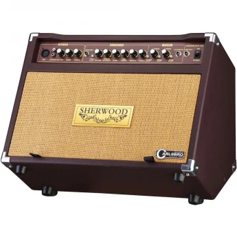 Комбо для акустической гитары CARLSBRO SHERWOOD 30R 80609